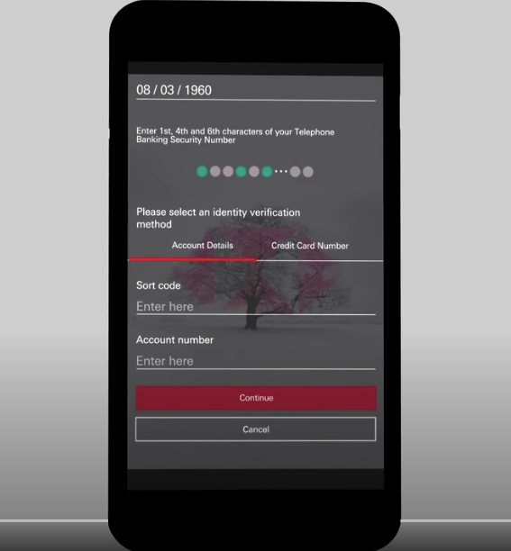 HSBC password entry example
