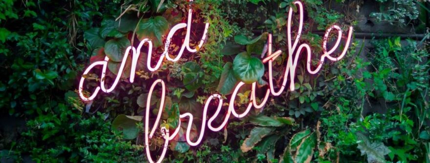 Konfliktløsningstips for håndtering og løsning av konflikter med klienter