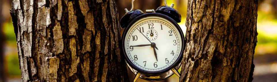 Hvordan gi den beste sanntidsstøtten til kunder i 2025