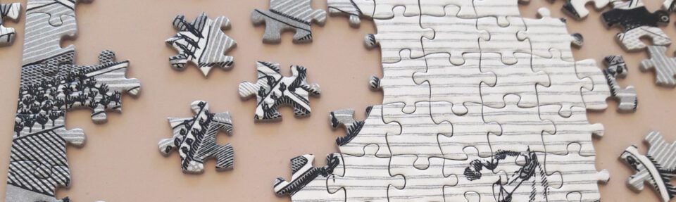 Hvorfor bør du integrere programvare?