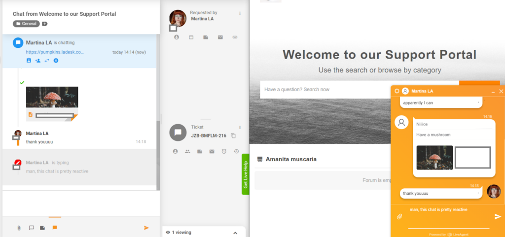 LiveAgent - sanntids skrivforhåndsvisning