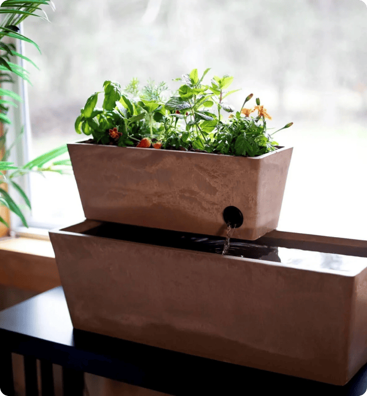 Hvordan AquaSprouts oppnår 96,5% kundetilfredshet med LiveAgent