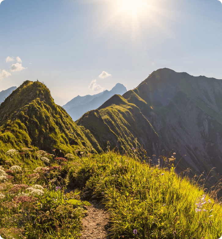 Hvordan ZlavaDna forbedret kundestøtten med LiveAgent